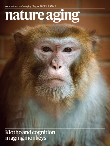  Klotho ve Yaşlı Maymunlardaki Bilişsel Başarıya Etkisi